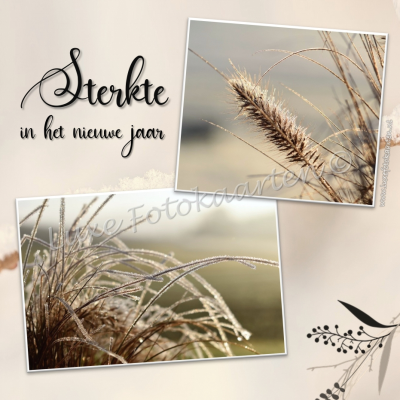 Sterkte nieuwe jaar - Aar